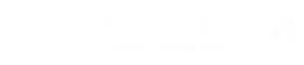 Grupo Oplin